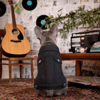 Rock 'n' Paw