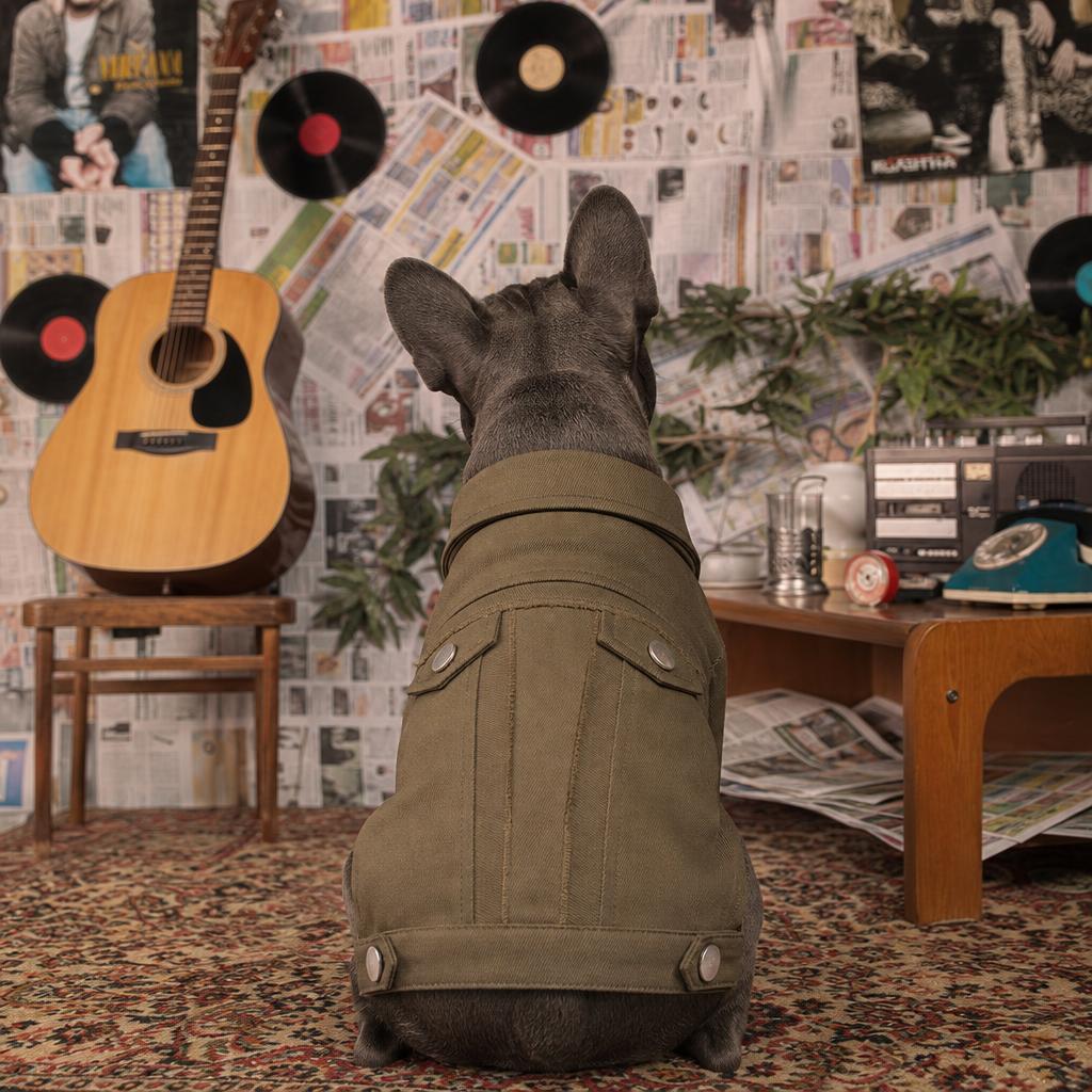 Rock 'n' Paw
