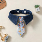 Gentleman Tie Collars